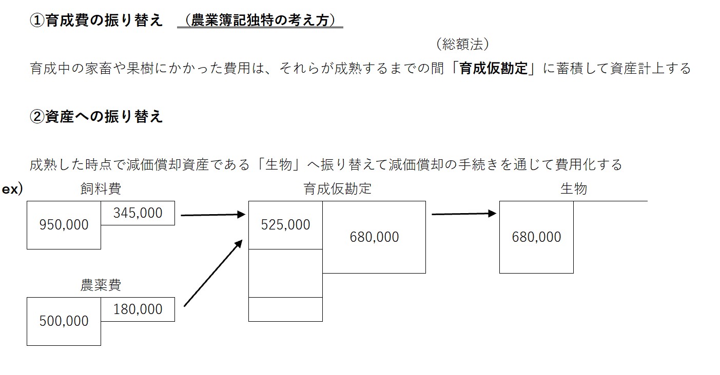 育成仮勘定