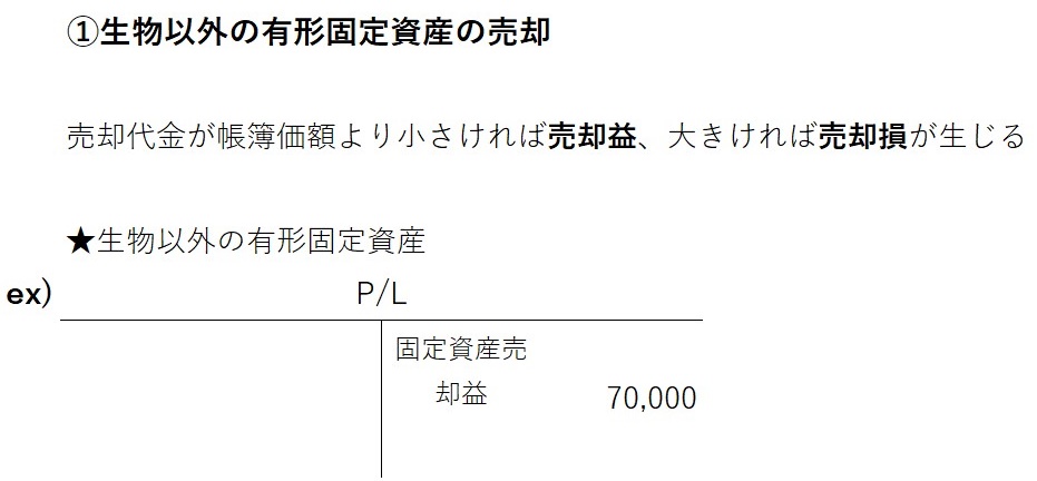 生物以外の有形固定資産の売却